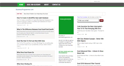 Desktop Screenshot of businessprogrammer.com